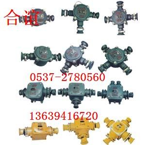 供应BHD2矿用隔爆型低压电缆接线盒 